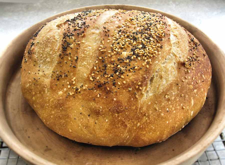 Sourdough NoKnead Bread Recipe Cuisine Fiend
